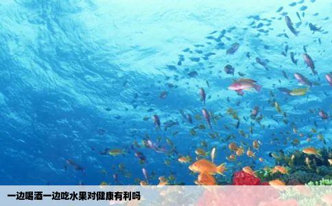 一边喝酒一边吃水果对健康有利吗