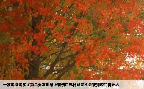 一次喝酒喝多了第二天发现身上有伤口就怀疑是不是被狗咬的有狂犬