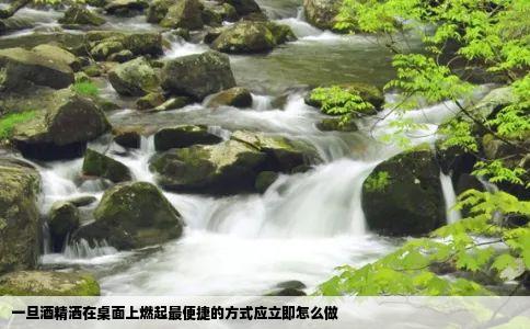 一旦酒精洒在桌面上燃起最便捷的方式应立即怎么做