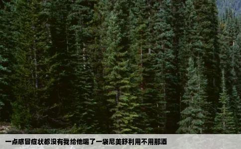 一点感冒症状都没有我给他喝了一袋尼美舒利用不用那酒