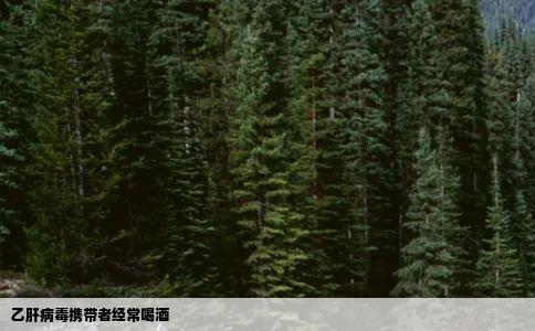 乙肝病毒携带者经常喝酒