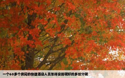 一个60多个房间的快捷酒店人员怎样安排呢好的多给分呢