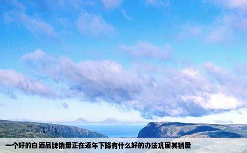 一个好的白酒品牌销量正在逐年下降有什么好的办法巩固其销量