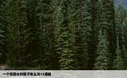 一个花露水的瓶子怎么兑75酒精