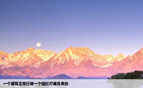 一个酒驾正常行驶一个闯红灯谁负责任