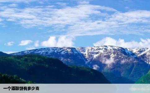 一个酒酿饼有多少克