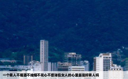 一个男人不喝酒不抽烟不花心不嫖赌在女人的心里算是好男人吗