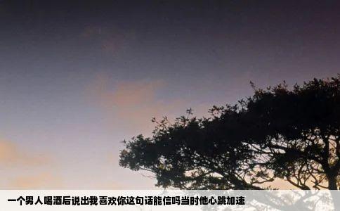 一个男人喝酒后说出我喜欢你这句话能信吗当时他心跳加速