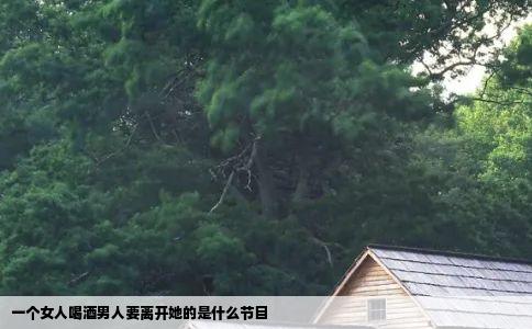 一个女人喝酒男人要离开她的是什么节目