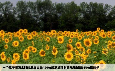 一个瓶子装满水时的总质量是400g装满酒精时的总质量是350g则瓶子