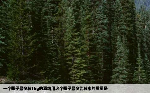 一个瓶子最多装1kg的酒精用这个瓶子最多能装水的质量是