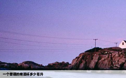 一个普通的啤酒杯多少毫升