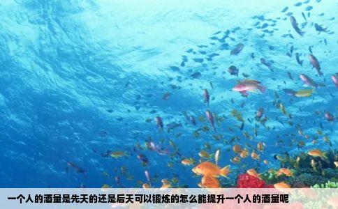 一个人的酒量是先天的还是后天可以锻炼的怎么能提升一个人的酒量呢