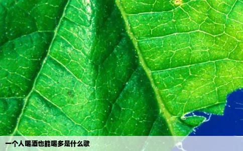 一个人喝酒也能喝多是什么歌