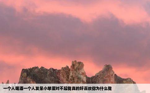 一个人喝酒一个人发呆小笨蛋对不起我真的好喜欢你为什么我