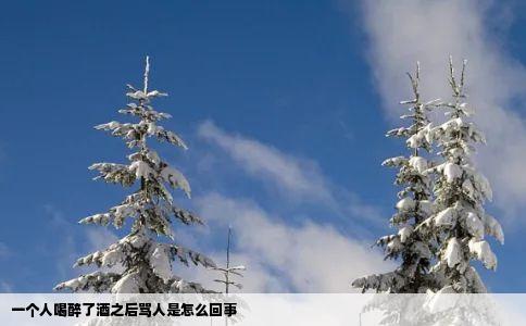 一个人喝醉了酒之后骂人是怎么回事