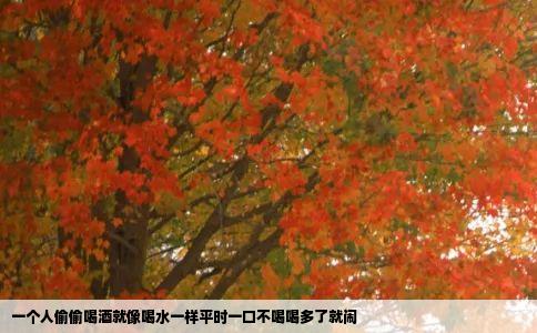 一个人偷偷喝酒就像喝水一样平时一口不喝喝多了就闹