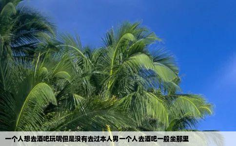 一个人想去酒吧玩呢但是没有去过本人男一个人去酒吧一般坐那里