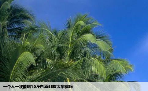 一个人一次能喝10斤白酒55度大家信吗