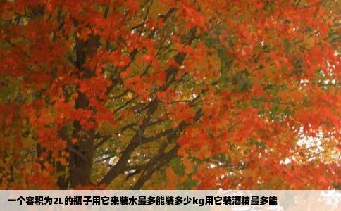 一个容积为2L的瓶子用它来装水最多能装多少kg用它装酒精最多能