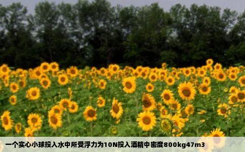 一个实心小球投入水中所受浮力为10N投入酒精中密度800kg47m3