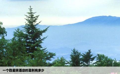 一个四星级酒店的盈利有多少