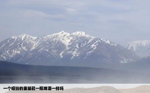 一个哑铃的重量和一瓶啤酒一样吗