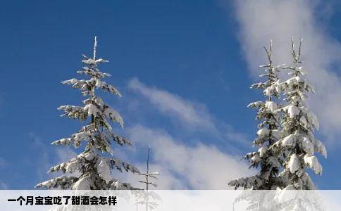 一个月宝宝吃了甜酒会怎样