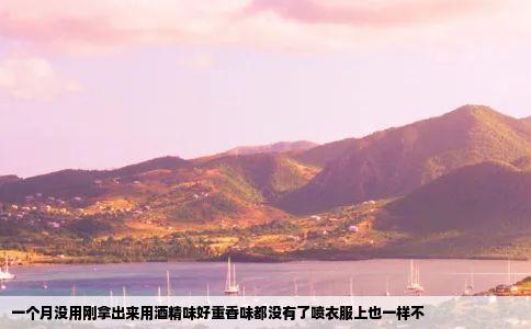 一个月没用刚拿出来用酒精味好重香味都没有了喷衣服上也一样不