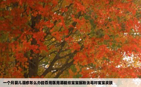 一个月婴儿湿疹怎么办能否用医用酒精给宝宝擦脸消毒对宝宝皮肤