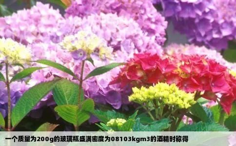 一个质量为200g的玻璃瓶盛满密度为08103kgm3的酒精时称得