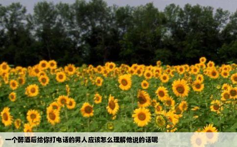 一个醉酒后给你打电话的男人应该怎么理解他说的话呢