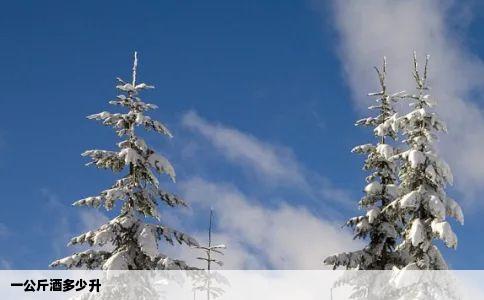 一公斤酒多少升