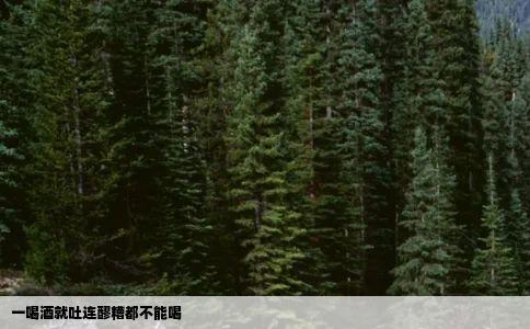 一喝酒就吐连醪糟都不能喝