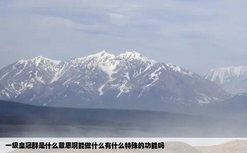 一级皇冠群是什么意思啊能做什么有什么特殊的功能吗