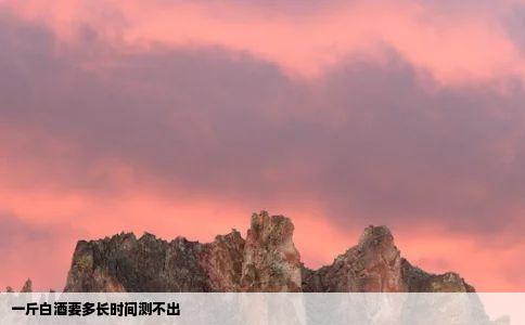 一斤白酒要多长时间测不出