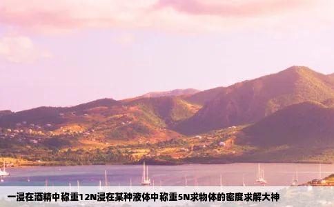 一浸在酒精中称重12N浸在某种液体中称重5N求物体的密度求解大神