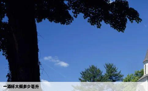 一酒杯大概多少毫升