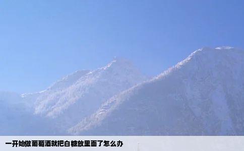 一开始做葡萄酒就把白糖放里面了怎么办