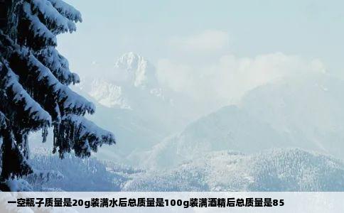 一空瓶子质量是20g装满水后总质量是100g装满酒精后总质量是85