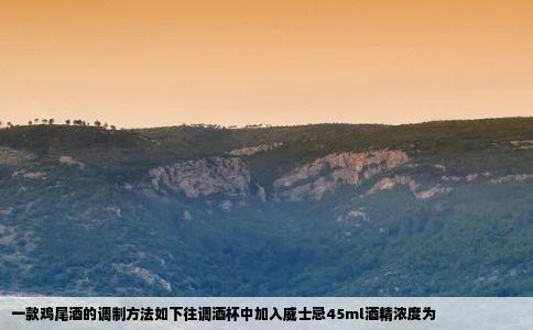 一款鸡尾酒的调制方法如下往调酒杯中加入威士忌45ml酒精浓度为