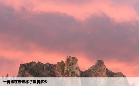 一两酒在普通杯子里有多少