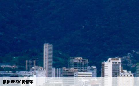 樱桃酒该如何储存