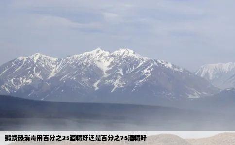 鹦鹉热消毒用百分之25酒精好还是百分之75酒精好