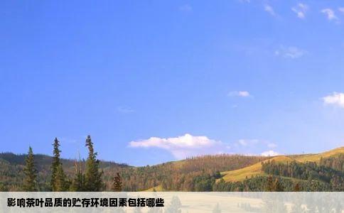 影响茶叶品质的贮存环境因素包括哪些