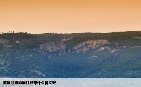 英雄联盟酒桶打野带什么符文好