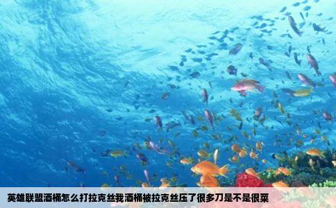 英雄联盟酒桶怎么打拉克丝我酒桶被拉克丝压了很多刀是不是很菜