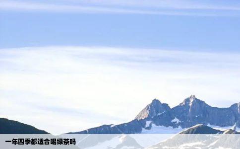 一年四季都适合喝绿茶吗