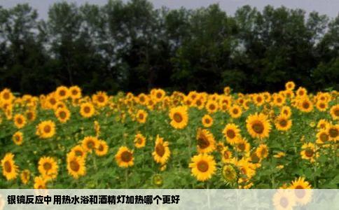 银镜反应中用热水浴和酒精灯加热哪个更好