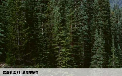 饮酒表达了什么思想感情
